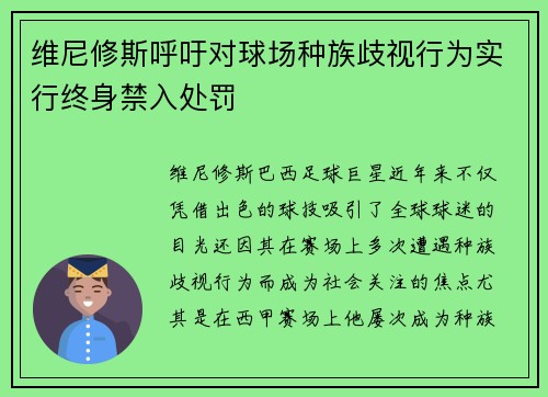 维尼修斯呼吁对球场种族歧视行为实行终身禁入处罚